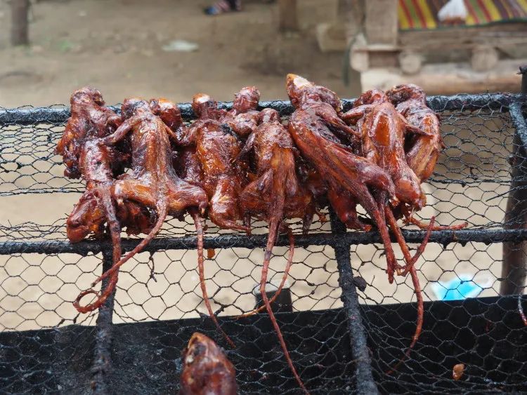 Bamboo rats grilled in Thailand