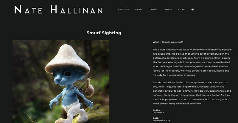 Nate Hallian Website