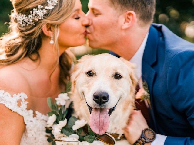 Pets for newly weds