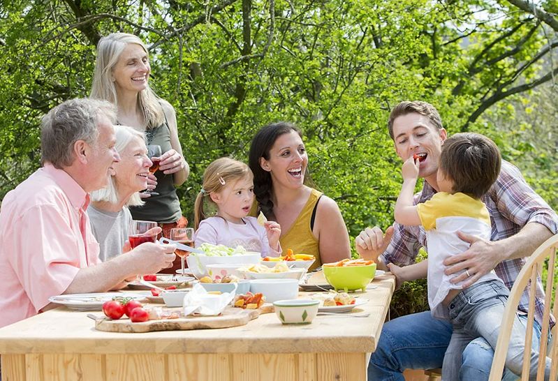 The Family Meal Plan for Wholesome Delights