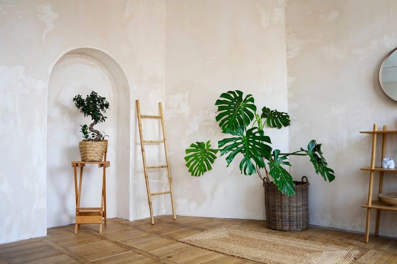 Tall Indoor Plants